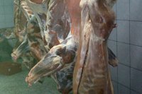 Zak�ad - zdj�cie nr 15