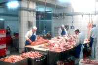 Zak�ad - zdj�cie nr 10