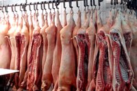 Zak�ad - zdj�cie nr 18