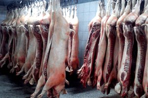 Zak�ad - zdj�cie nr 1