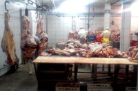 Zak�ad - zdj�cie nr 11