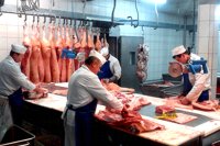 Zak�ad - zdj�cie nr 12